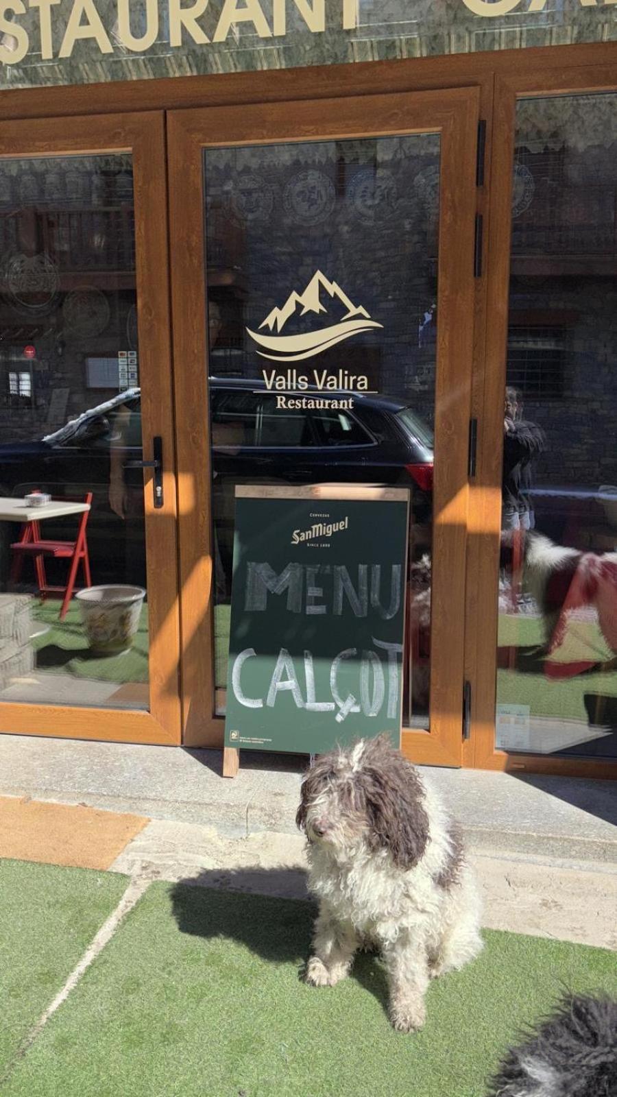 Hotel Valls Valira Os de Civís Eksteriør bilde