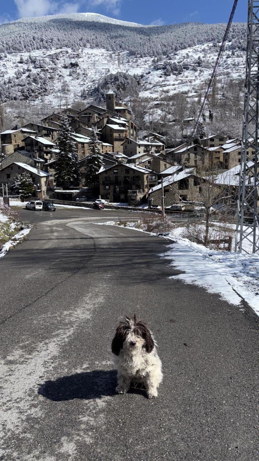 Hotel Valls Valira Os de Civís Eksteriør bilde